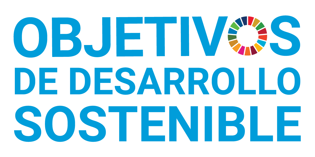 SDG logo UN emblema